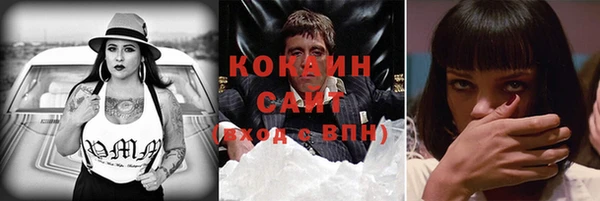 гидра Белоозёрский