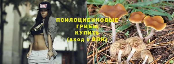 кокаин Тавда