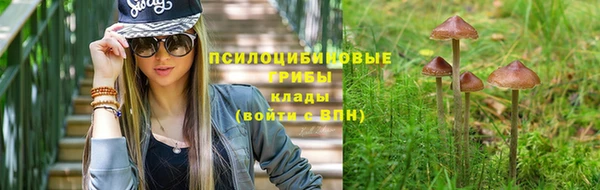 jwh Белокуриха