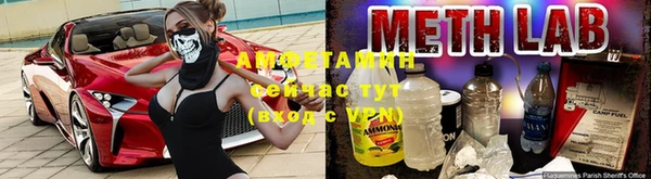 гидра Белоозёрский