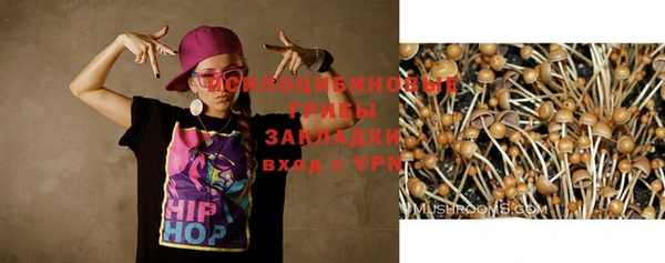 гидра Белоозёрский