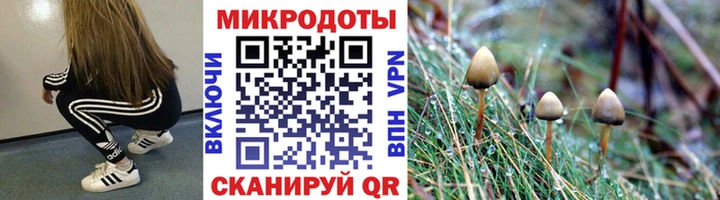 Псилоцибиновые грибы Cubensis  сколько стоит  Верхний Уфалей 