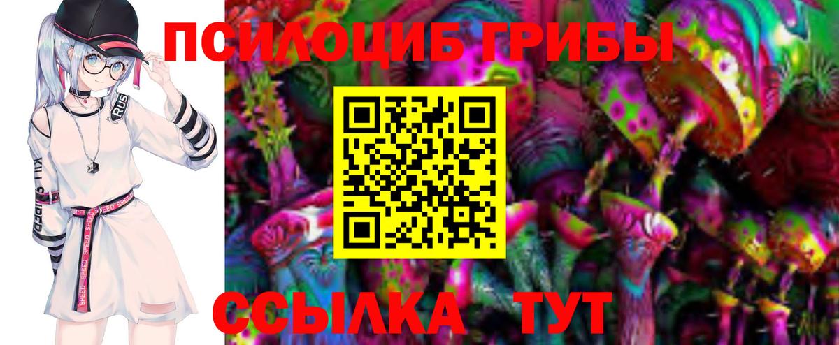Верхний Уфалей  Псилоцибиновые грибы Psilocybe  Вход с VPN 