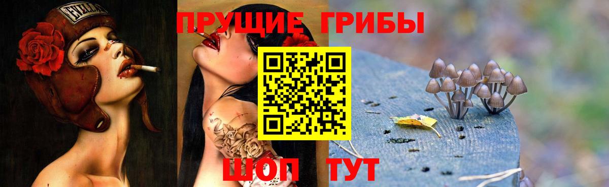 Галлюциногенные грибы Psilocybe  Галлюциногенные грибы мицелий  Верхний Уфалей 